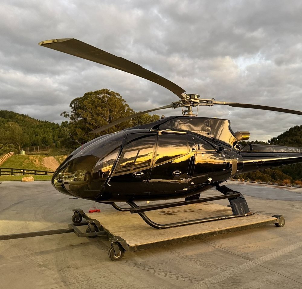 2007 Airbus Helicopters H130 (file image)