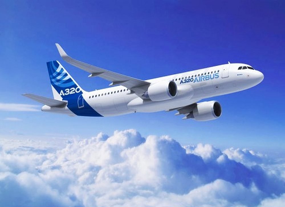 2005 Airbus A320-214 (file image)